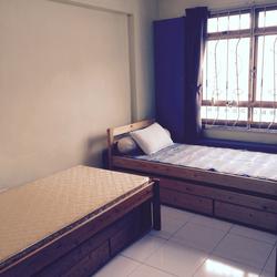Blk 313A Anchorvale Road (Sengkang), HDB 5 Rooms #103601362